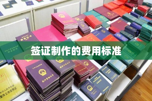 晋江签证制作的费用标准